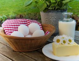 Alimentos ricos en calcio