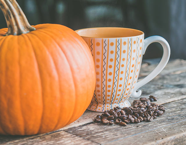 Las propiedades de la calabaza