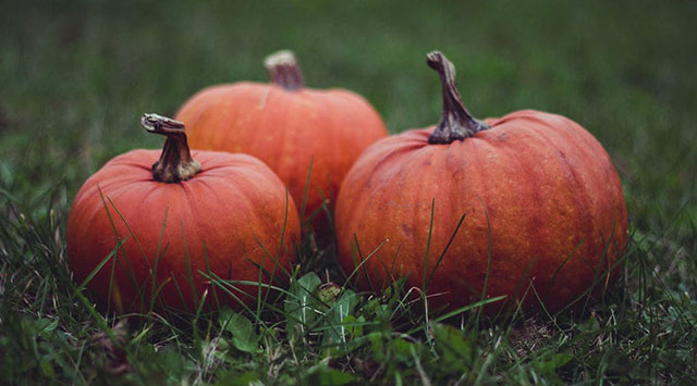 Las propiedades de la calabaza 