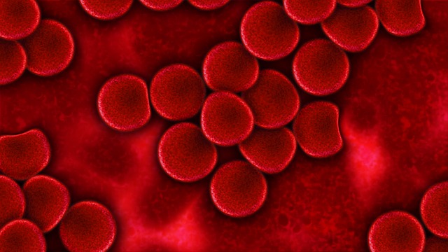 Diferencia entre suero y plasma sanguíneo