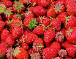 Los beneficios de las fresas