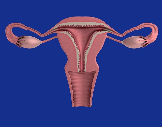 cáncer de útero