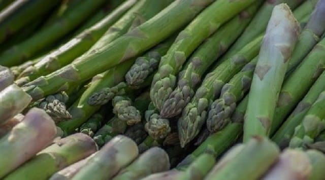 alimentos bajan el ácido úrico