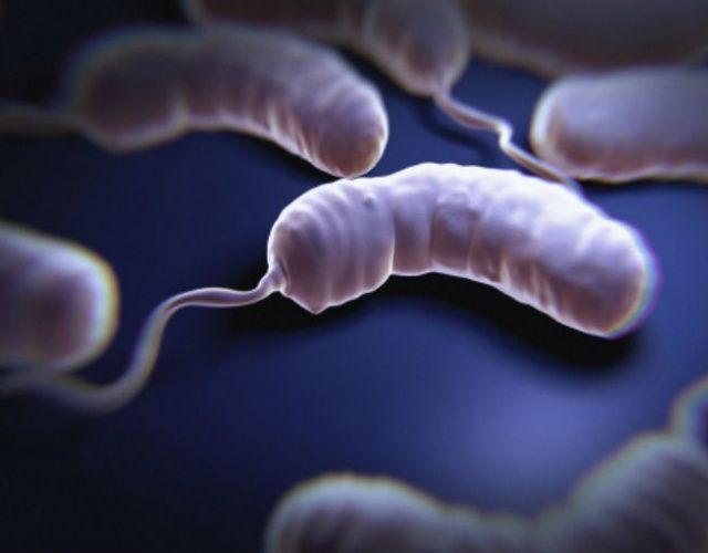 Síntomas y tratamiento del Cólera