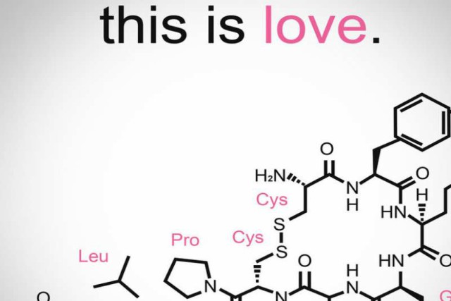 hormona del amor oxitocina