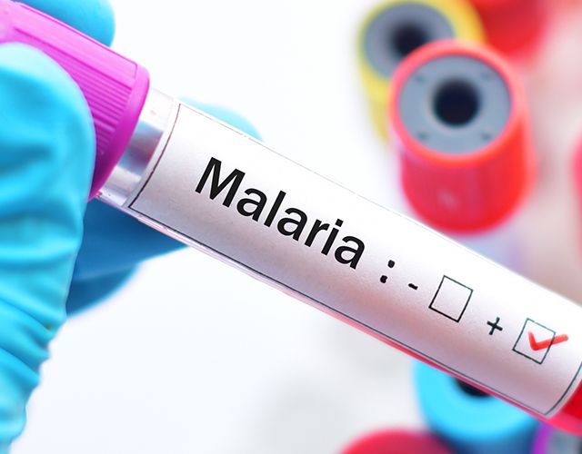síntomas de malaria