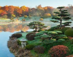 10 proverbios japoneses de amor