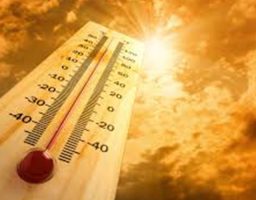 Cómo actuar ante un golpe de calor