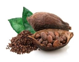 Cacao