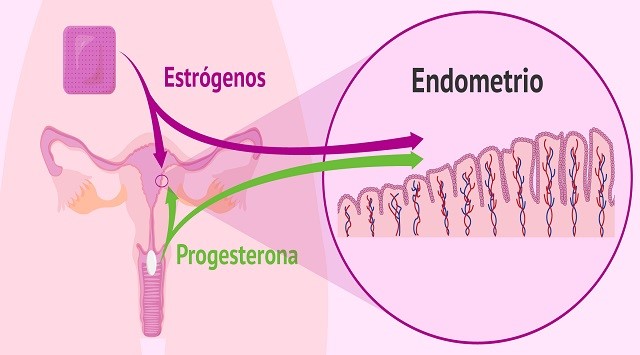 Progesterona alta 