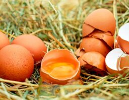Alergia al huevo: causas, síntomas y prevención